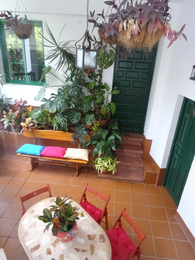 圣克鲁斯-德特内里费Casa La Poyata - Taganana别墅 外观 照片